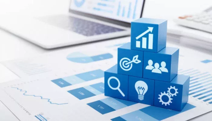 bisnis jualan online