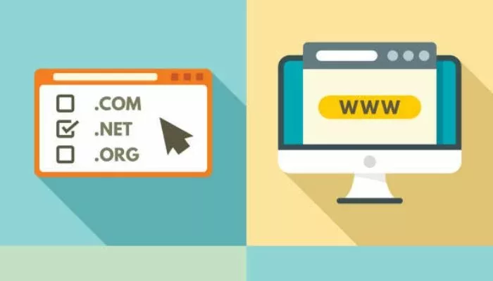 contoh website net