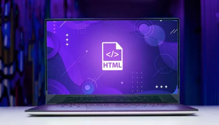Contoh Website Portofolio Dengan HTML dan CSS