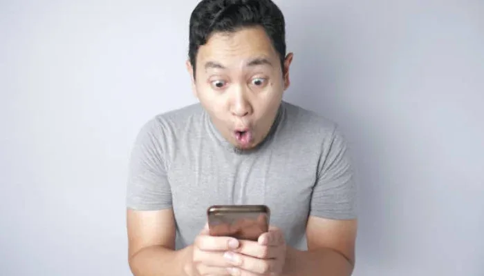 wa yang bisa melihat pesan dihapus