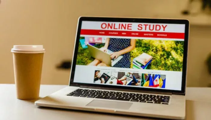 contoh website untuk pemula