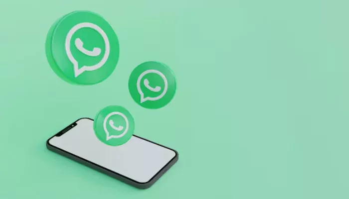 cara mengatur wa agar tidak terlihat online
