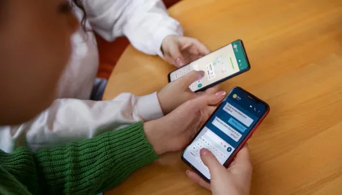 menghilangkan online di wa